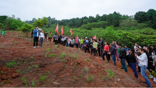 省尊龙凯时人生就是搏集团开展龙泉山都会森林公园 “包山头”植树运动