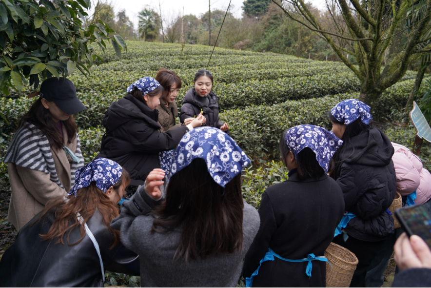 省尊龙凯时人生就是搏集团下属企业组织开展“三八”国际劳动妇女节主题活动